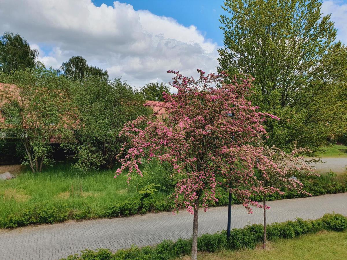부르크 Ferienhaus Hase 빌라 외부 사진