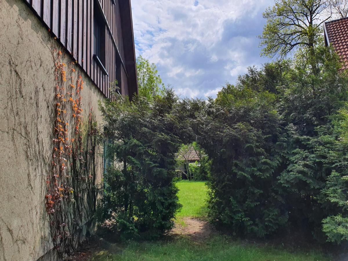부르크 Ferienhaus Hase 빌라 외부 사진